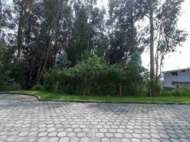  Land for sale in Conocoto, Pichincha, Conocoto
