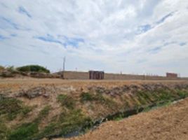  Terreno (Parcela) en venta en Lambayeque, San Jose, Lambayeque, Lambayeque