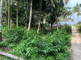  Land for sale in Siquijor, Central Visayas, Maria, Siquijor