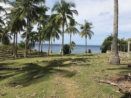  Land for sale in Siquijor, Central Visayas, Maria, Siquijor