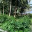  Land for sale in Siquijor, Central Visayas, Maria, Siquijor