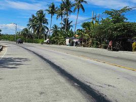  Land for sale in Argao, Cebu, Argao