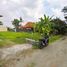  Land for sale in Yogyakarta, Gondomanan, Yogyakarta, Yogyakarta