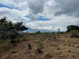  Grundstück zu verkaufen in Villa De Leyva, Boyaca, Villa De Leyva