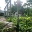 5 Bedroom House for sale in Centro, Tabasco, Centro