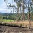  Terreno (Parcela) en venta en Villa De Leyva, Boyaca, Villa De Leyva