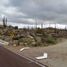  Grundstück zu verkaufen in Ensenada, Baja California, Ensenada
