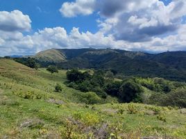 4 Habitación Casa en venta en Valle Del Cauca, Guadalajara De Buga, Valle Del Cauca