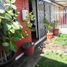 2 Bedroom House for rent in Cordillera Santiago, Pirque, Cordillera, Santiago