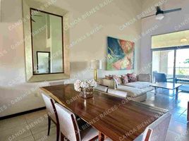 푸에르토 발라 타, 할리 스코PropertyTypeNameBedroom, 푸에르토 발라 타