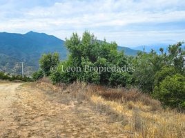  Terreno (Parcela) en venta en Melipilla, Santiago, Maria Pinto, Melipilla