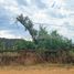  Terreno (Parcela) en venta en Melipilla, Santiago, Maria Pinto, Melipilla