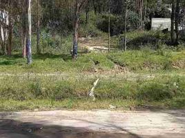 Land for sale in Conocoto, Pichincha, Conocoto