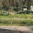  Land for sale in Conocoto, Pichincha, Conocoto