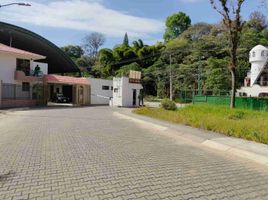 Terreno (Parcela) en venta en Coatepec, Veracruz, Coatepec