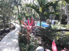  Grundstück zu verkaufen in Cozumel, Quintana Roo, Cozumel