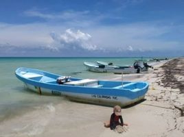  Grundstück zu verkaufen in Chicxulub Pueblo, Yucatan, Chicxulub Pueblo