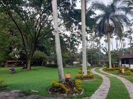 10 Habitación Villa en alquiler en Jamundi, Valle Del Cauca, Jamundi