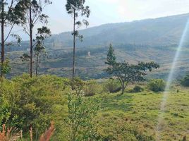  Land for sale in Tumbaco, Quito, Tumbaco