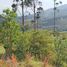  Land for sale in Tumbaco, Quito, Tumbaco