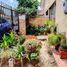 3 Bedroom House for sale in Chile, Requinao, Cachapoal, Libertador General Bernardo Ohiggins, Chile
