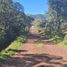  Land for sale in Singuilucan, Hidalgo, Singuilucan