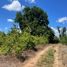  Land for sale in Chillan, Nuble, Chillan