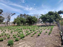  Grundstück zu verkaufen in Quito, Pichincha, Tumbaco