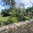  Terreno (Parcela) en venta en Coatepec, Veracruz, Coatepec