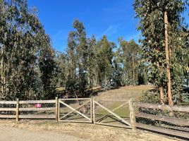  Terreno (Parcela) en venta en Chile, Algarrobo, San Antonio, Valparaíso, Chile