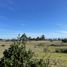  Terreno (Parcela) en venta en Chile, Algarrobo, San Antonio, Valparaíso, Chile