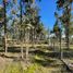  Terreno (Parcela) en venta en Chile, Algarrobo, San Antonio, Valparaíso, Chile