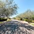  Land for sale in Hermosillo, Sonora, Hermosillo, Sonora