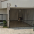 3 Habitación Villa en venta en Monterrey, Nuevo León, Monterrey, Nuevo León