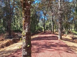  Grundstück zu verkaufen in Chignahuapan, Puebla, Chignahuapan