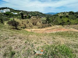  Terreno (Parcela) en venta en Penol, Antioquia, Penol