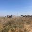  Land for sale in Morelos, Zacatecas, Morelos, Zacatecas