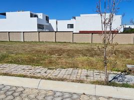  Grundstück zu verkaufen in Atlixco, Puebla, Atlixco