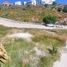  Land for sale in Vetagrande, Zacatecas, Vetagrande, Zacatecas
