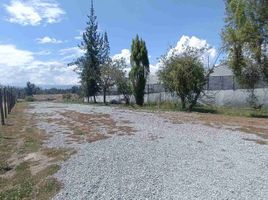  Land for rent in Quito, Pichincha, Tababela, Quito