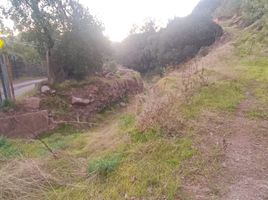  Terreno (Parcela) en venta en Santiago, Santiago, Santiago, Santiago