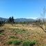  Land for sale in Chile, Quilpue, Valparaiso, Valparaiso, Chile