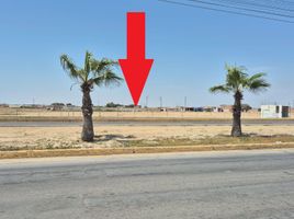  Terreno (Parcela) en venta en Chiclayo, Lambayeque, Pimentel, Chiclayo