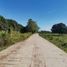  Land for sale in Peñaranda, Central Luzon, Peñaranda