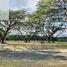  Terreno (Parcela) en venta en Calamba City, Calabarzon, Calamba City, Laguna, Calabarzon, Filipinas