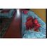 在Chorrillos, Lima出售的2 卧室 屋, Chorrillos