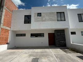 3 Schlafzimmer Appartement zu vermieten in Queretaro, Queretaro, Queretaro, Queretaro