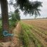  Land for sale in Imperial, Lima, Imperial