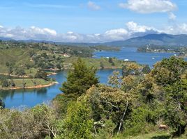  Grundstück zu verkaufen in Penol, Antioquia, Penol
