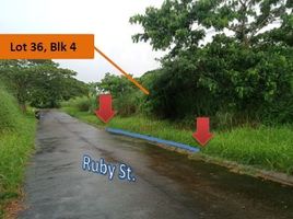  Land for sale in Batangas City, Batangas, Batangas City